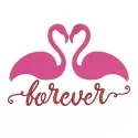 1673-Forever